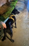 IMG_8290.jpeg