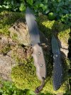 IMG_0303.jpeg