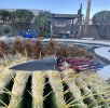 IMG_3703.jpeg