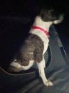 IMG_4879.jpeg