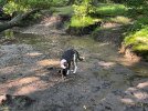 IMG_4883.jpeg