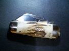 gec38stag2.png