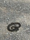 IMG_3234.jpeg