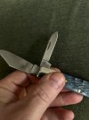IMG_6001.jpeg