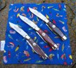 2025-06-25 WW Queen Gunstocks.JPG