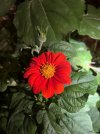 IMG_3228.jpeg