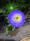 IMG_3218.jpeg