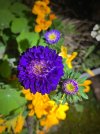 IMG_3222.jpeg