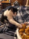 IMG_6293.jpeg
