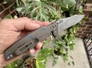 IMG_1913.jpeg