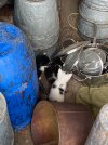 IMG_4470.jpeg
