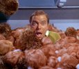 trouble-with-tribbles-3843434284.jpeg