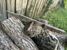 IMG_3517.jpeg