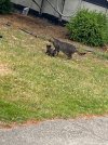 IMG_4486.jpeg