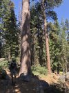IMG_3712.jpeg