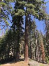 IMG_3713.jpeg
