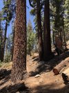 IMG_3702.jpeg