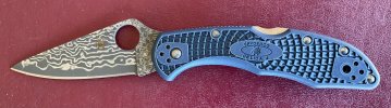 IMG_1046.jpeg