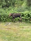 IMG_8343.jpeg