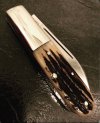 IMG_8529.jpeg