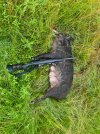 IMG_3352.jpeg