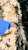 VideoCapture_20250628-105711.jpg
