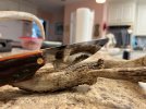 IMG_6253.jpeg