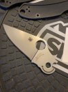 IMG_6923.jpeg