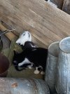 IMG_4528.jpeg