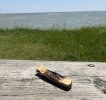 IMG_1082.jpeg