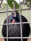 IMG_4454.jpeg