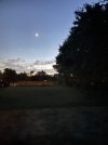 IMG_1618.jpeg