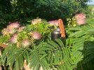 IMG_9023.jpeg