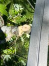 IMG_8498.jpeg