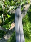 IMG_8500.jpeg
