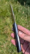 PXL_20250609_095654782.jpg