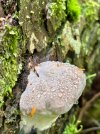 IMG_5300.jpeg
