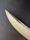 IMG_5904.jpeg