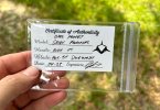 IMG_3217.jpeg