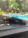 IMG_3695.jpeg
