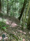 IMG_0344.jpeg