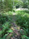 IMG_0341.jpeg