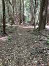 IMG_0340.jpeg