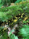 IMG_0339.jpeg