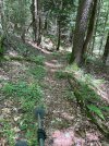 IMG_0343.jpeg