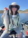 IMG_0749.jpeg