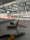 IMG_3780.jpeg