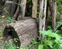 IMG_9063.jpeg