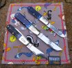 2025-06-30 Blue Barlows CASE GEC86.JPG