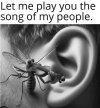 IMG_0420.jpeg